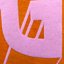 'Hag' ladies slogan t shirt for glorious old biddies