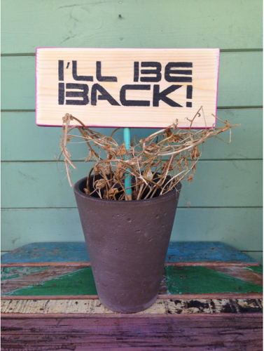 I'LL BE BACK garden sign