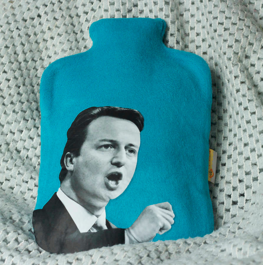 Political Hottie  - Cameron hot water bottle