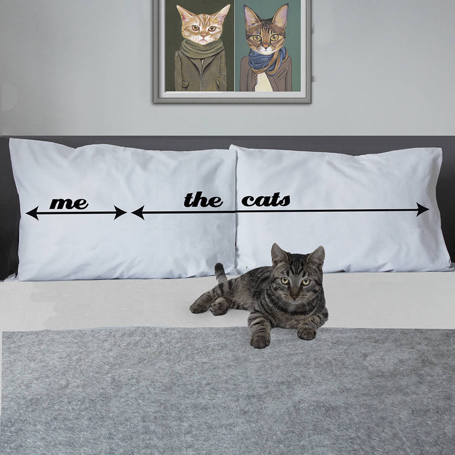 Crazy cat lady pillowcase for animal lovers