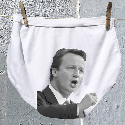 David Cameron's face on adult Political Pants