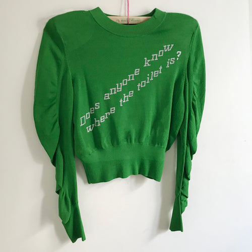 SOLD  'Does anyone know where the toilet is' green ladies jumper